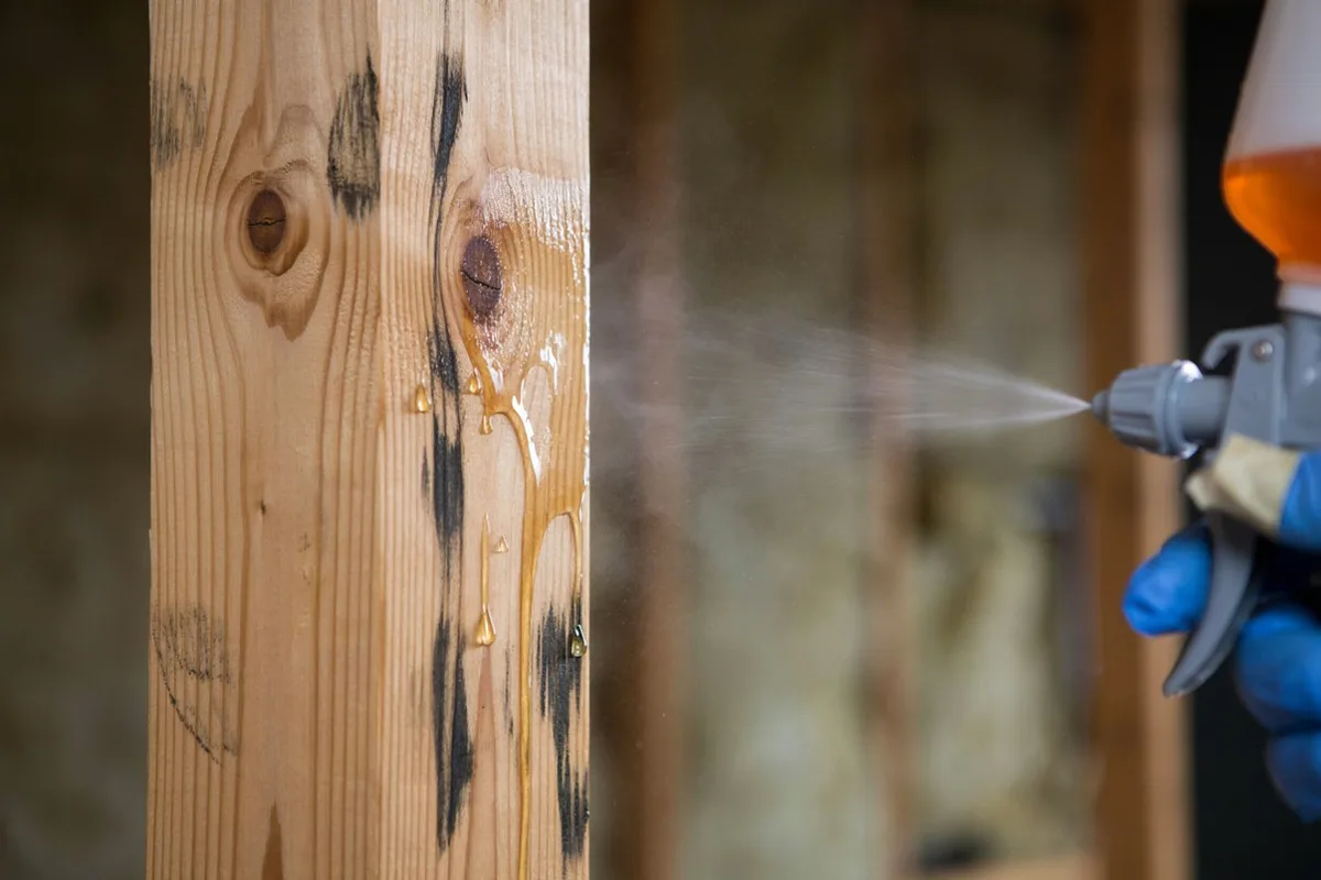 Black mold removal in Slidell, LA