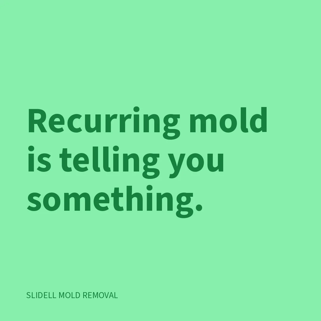 Recurring mold is telling you something.